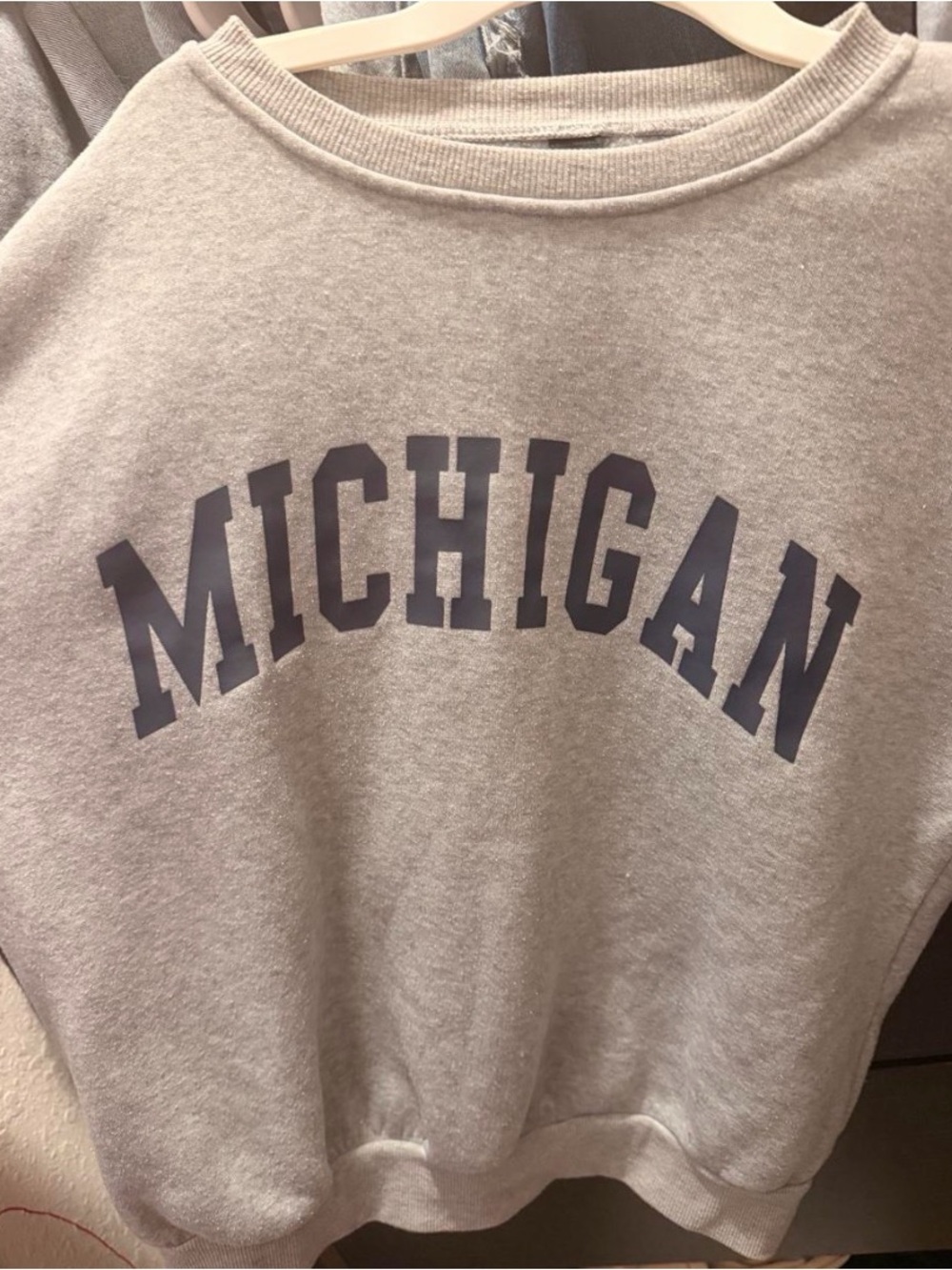 H&M Gray Michigan Graphic Sweater